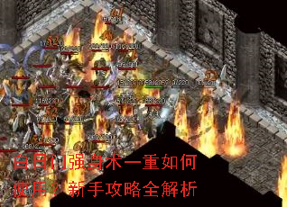 ������ǿ����һ�����ʹ�ã����ֹ���ȫ����