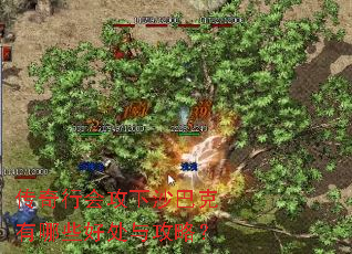 传奇行会攻下沙巴克有哪些好处与攻略? 传奇行会攻下沙巴克有哪些好处与攻略?