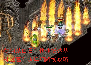 如何从白日门快速抵达丛林迷宫?求详细路线攻略 如何从白日门快速抵达丛林迷宫?求详细路线攻略
