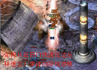 如何从白日门快速抵达丛林迷宫?求详细路线攻略 如何从白日门快速抵达丛林迷宫?求详细路线攻略