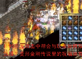 1.95���������а����������˫��ѡ�񣿱��ν�մ�˵���ף��������Щ��