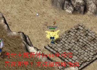 ��������Ұ��boss����λ�����������ϸ����ָ��