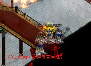 1.80�������Ӯ��ר��������