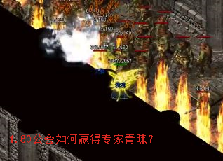 1.80�������Ӯ��ר��������