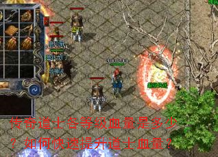 传奇道士各等级血量是多少?如何快速提升道士血量? 传奇道士各等级血量是多少?如何快速提升道士血量?