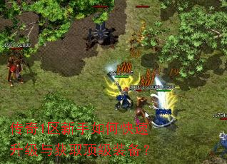 传奇1区新手如何快速升级与获取顶级装备? 传奇1区新手如何快速升级与获取顶级装备?