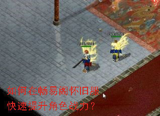 ����ڳ��׸󻳾ɷ�����������ɫս����