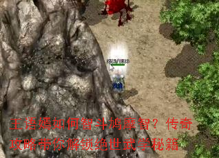 王语嫣如何智斗鸠摩智?传奇攻略带你解锁绝世武学秘籍 王语嫣如何智斗鸠摩智?传奇攻略带你解锁绝世武学秘籍
