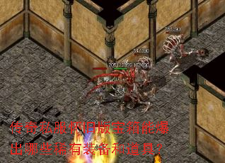 ����˽�����ɰ汦���ܱ�����Щϡ��װ���͵��ߣ�