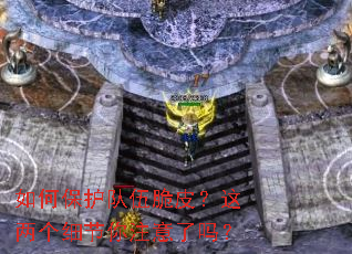 如何保护队伍脆皮?这两个细节你注意了吗? 如何保护队伍脆皮?这两个细节你注意了吗?
