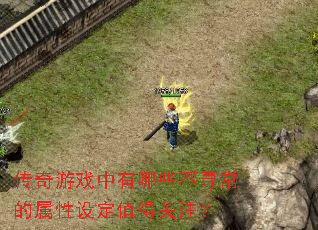 传奇游戏中有哪些不寻常的属性设定值得关注? 传奇游戏中有哪些不寻常的属性设定值得关注?