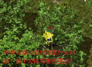 ����˽������ʱ����ʲôʱ�����ֹ�������ЩҪ�㣿