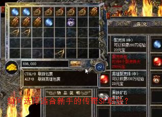如何选择适合新手的传奇SF职业? 如何选择适合新手的传奇SF职业?