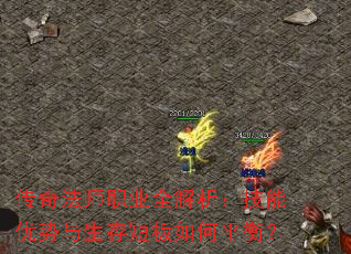 ���淨ʦְҵȫ��������������������̰����ƽ�⣿