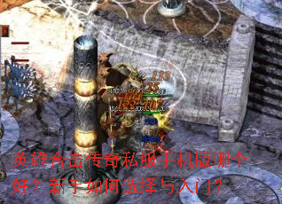 英雄合击传奇私服手机版哪个好?新手如何选择与入门? 英雄合击传奇私服手机版哪个好?新手如何选择与入门?