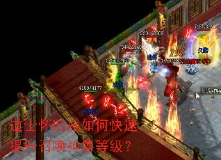 ��ʿ���ɷ���ο��������ٻ����޵ȼ���
