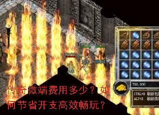 ����΢�˷��ö��٣���ν�ʡ��֧��Ч���棿