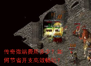 ����΢�˷��ö��٣���ν�ʡ��֧��Ч���棿