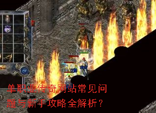 ��ְҵ������վ�������������ֹ���ȫ������