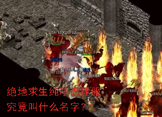 �������������޹ҷ�������ʲô���֣�