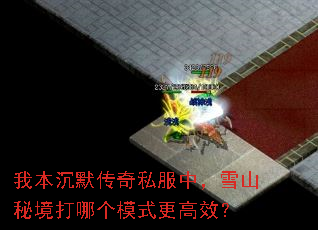 我本沉默传奇私服中,雪山秘境打哪个模式更高效? 我本沉默传奇私服中,雪山秘境打哪个模式更高效?