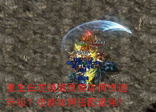 重生白虎镇族灵兽如何快速升级?技能如何搭配最强? 重生白虎镇族灵兽如何快速升级?技能如何搭配最强?