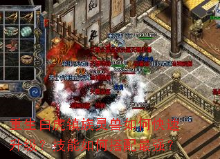 重生白虎镇族灵兽如何快速升级?技能如何搭配最强? 重生白虎镇族灵兽如何快速升级?技能如何搭配最强?