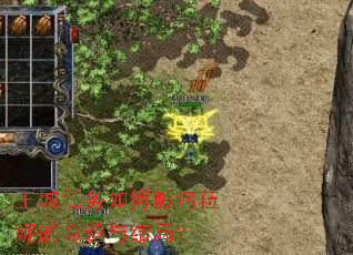王城任务如何影响菈妮的命运与结局? 王城任务如何影响菈妮的命运与结局?