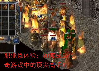 ְҵ΢���飺��γ�Ϊ������Ϸ�еĶ�����֣�