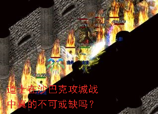 ��ʿ��ɳ�Ϳ˹���ս����Ĳ��ɻ�ȱ��