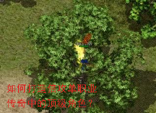 ��δ��챶����ְҵ�����еĶ�����ɫ��