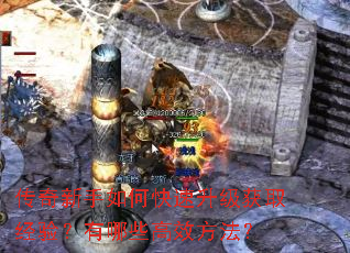传奇新手如何快速升级获取经验?有哪些高效方法? 传奇新手如何快速升级获取经验?有哪些高效方法?