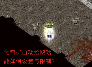 ����sf�Զ�ʰȡ����������������ƣ�