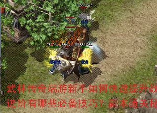 武林传奇端游新手如何快速提升战力?高手进阶有哪些必备技巧?副本通关秘籍全解析 武林传奇端游新手如何快速提升战力?高手进阶有哪些必备技巧?副本通关秘籍全解析