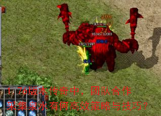 1.76版本传奇中,团队合作采集泉水有何高效策略与技巧? 1.76版本传奇中,团队合作采集泉水有何高效策略与技巧?