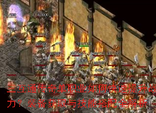 ����ͨ���浥ְҵ��ο�������ս����װ����ȡ�뼼�ܴ���ȫ����