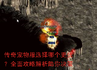��������ѡ���ĸ����ţ�ȫ�湥�Խ����������