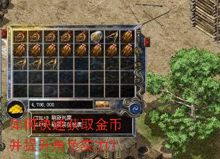 如何快速获取金币并提升角色实力? 如何快速获取金币并提升角色实力?