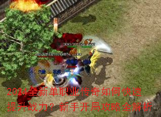 2024ȫ�µ�ְҵ������ο�������ս�������ֿ��ֹ���ȫ����