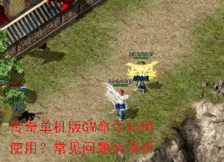���浥����GM�������ʹ�ã���������ȫ����