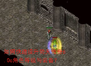 ��ο����������촫��6.0c��ɫ�ȼ���װ����