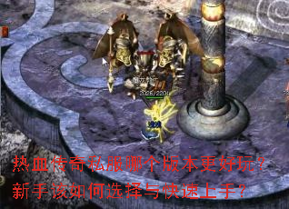 ��Ѫ����˽���ĸ��汾�����棿���ָ����ѡ����������֣�