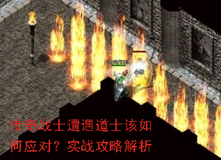 ����սʿ������ʿ�����Ӧ�ԣ�ʵս���Խ���