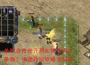 ��ְҵ���濪����λ��ʮ������������������ȫ����