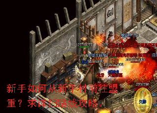 新手如何从新手村前往盟重?求详细路线攻略。 新手如何从新手村前往盟重?求详细路线攻略。