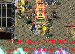 ��ο��ٻ�ȡ�����ڲ�������װ�������ֿ���Ӧ��ѡ���ĸ�ְҵ������BOSS����Щ��Ч�򷨣�