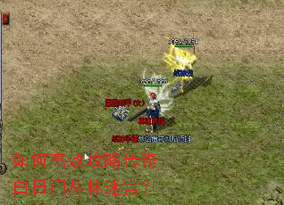 如何高效攻略传奇白日门丛林迷宫? 如何高效攻略传奇白日门丛林迷宫?
