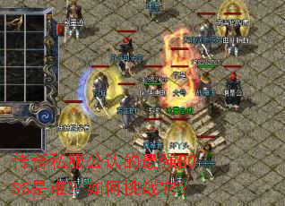 ����˽�����ϵ���ǿBOSS��˭�������ս����